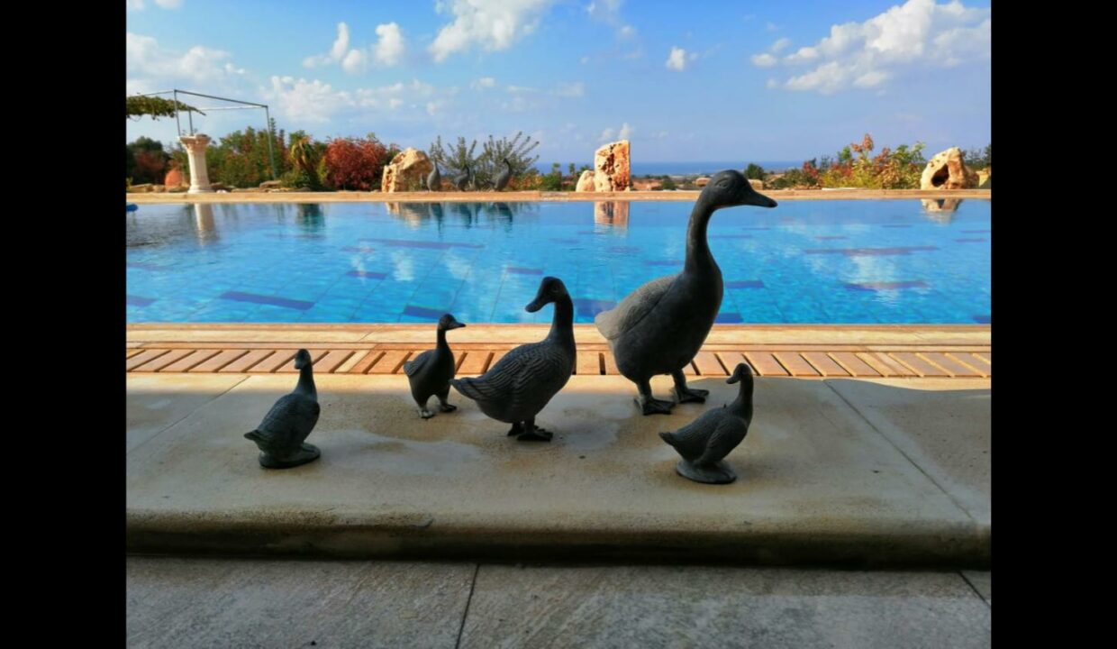 POOL A 2