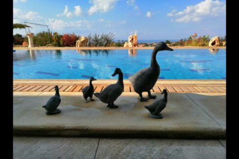 POOL A 2