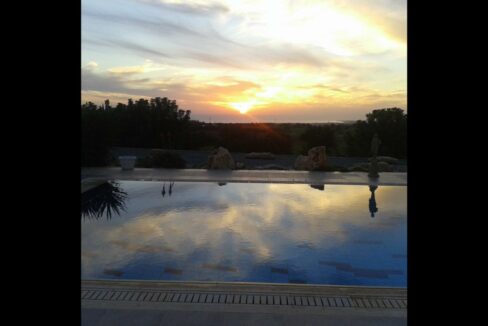 SUNSET D